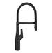 Blanco - 443019 - Pull Down Kitchen Faucets