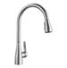 Blanco - 442208 - Pull Down Kitchen Faucets