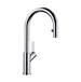 Blanco - 526390 - Pull Down Kitchen Faucets