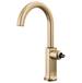 Brizo - 61006LF-GLLHP-L - Bar Sink Faucets