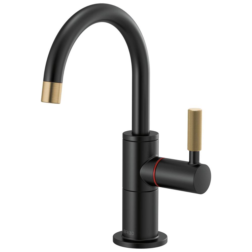 Brizo  Filtration Faucets item 61343LF-H-BLGL