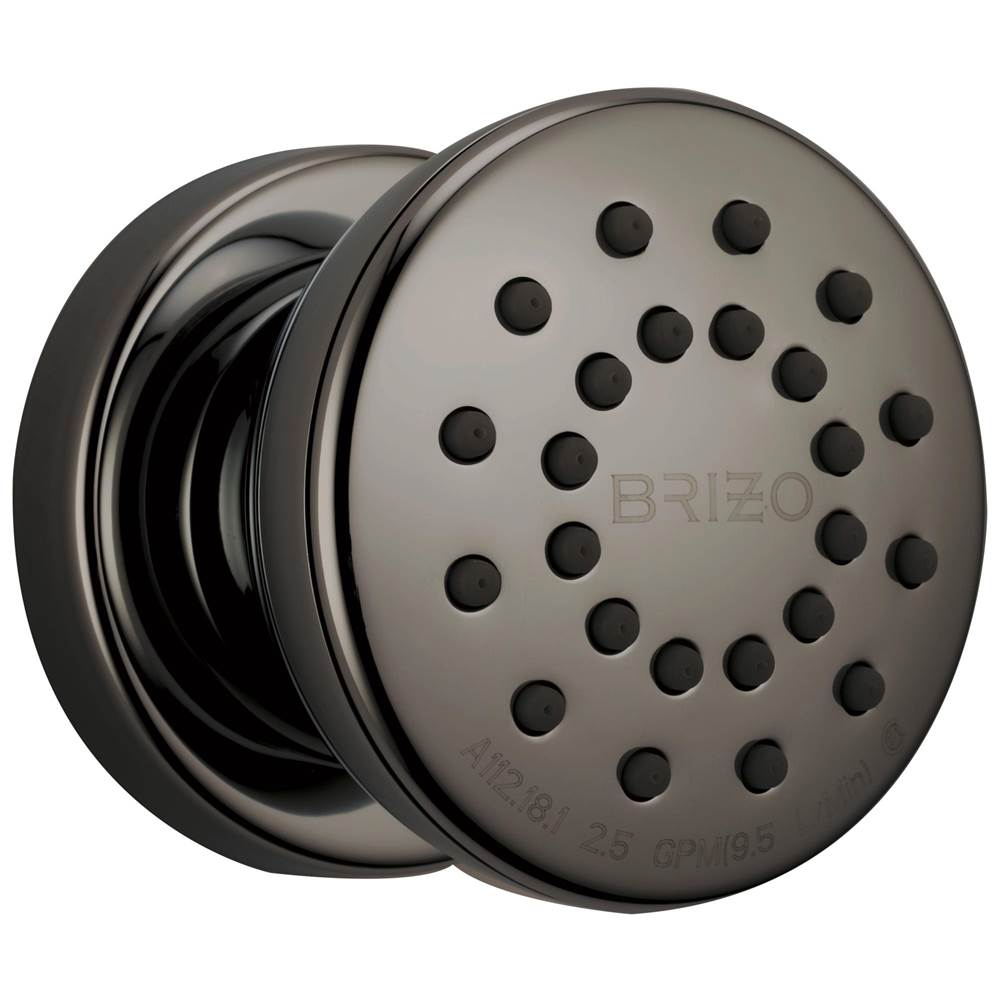 Brizo Bodysprays Shower Heads item 84110-BNX