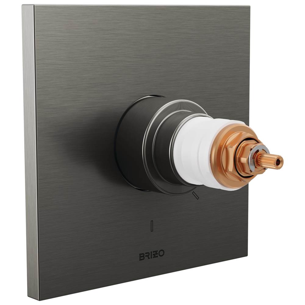 Brizo Thermostatic Valve Trim Shower Faucet Trims item T60022-SLLHP