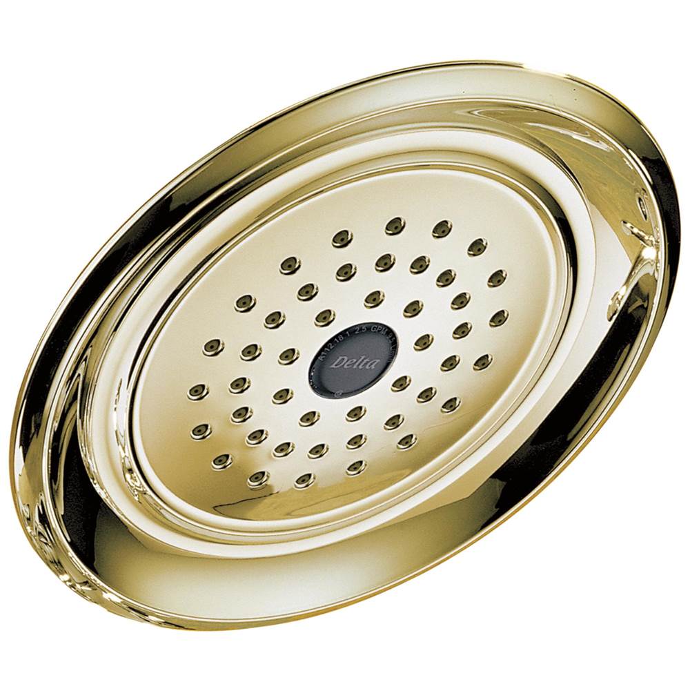 Delta Faucet  Shower Heads item RP48686PB