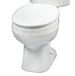 Mansfield Plumbing - 011710010 - Toilet Bowls