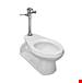 Mansfield Plumbing - 131200000 - Toilet Bowls