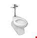 Mansfield Plumbing - 131300000 - Toilet Bowls