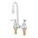 T And S Brass - B-0874-M - Widespread Bathroom Sink Faucets
