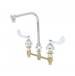 T And S Brass - B-2859 - Widespread Bathroom Sink Faucets