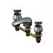 T And S Brass - B-2990-175F - Widespread Bathroom Sink Faucets